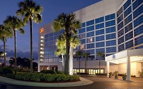 Hilton Rialto Hotel Melbourne Fl